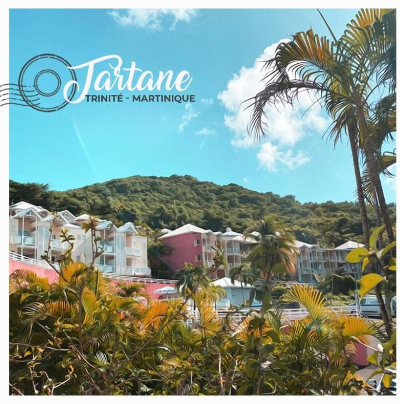 Residence De La Baie - Bleu Soleil Tartane La Trinite Bagian luar foto